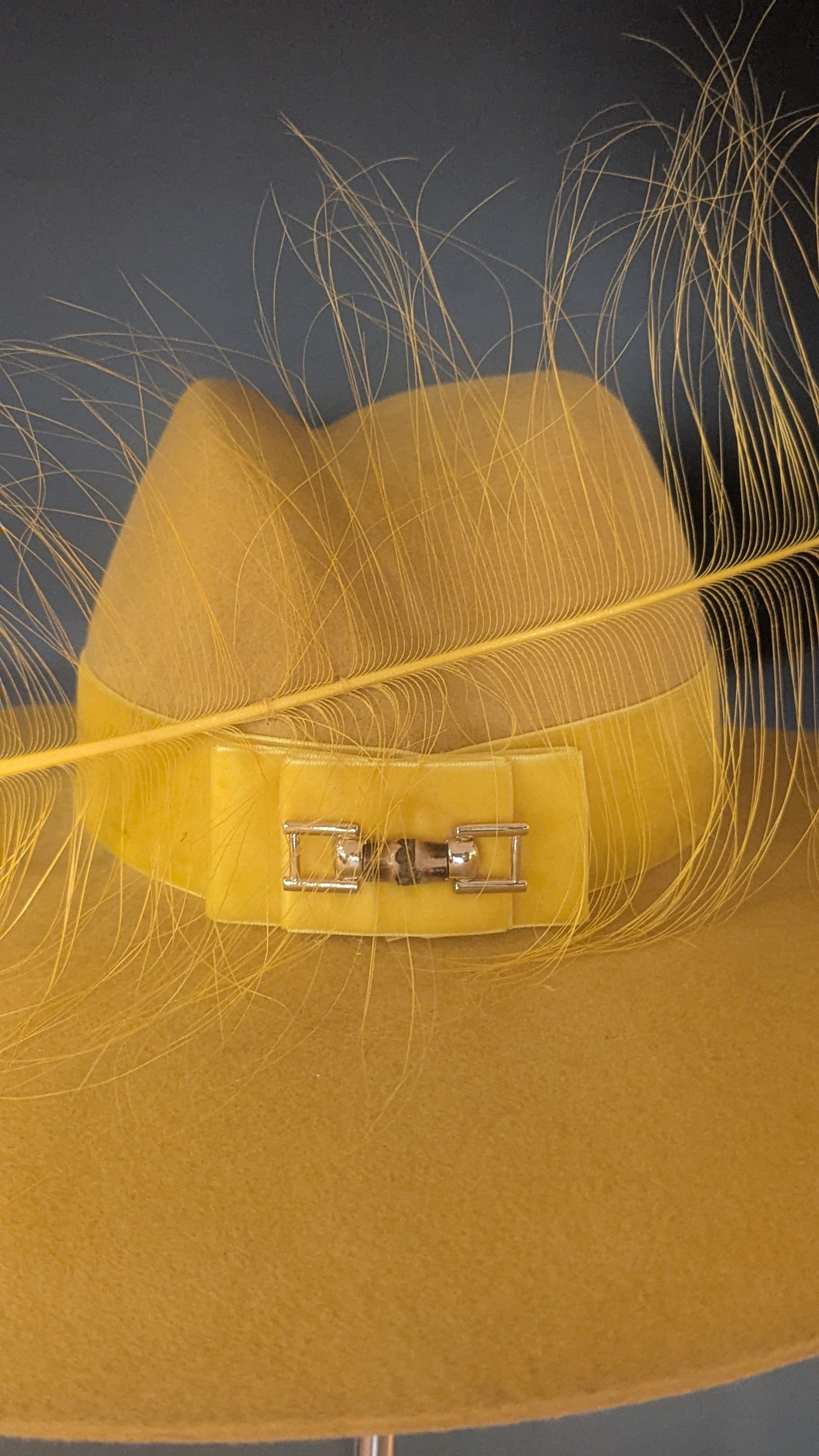 The Pretty Place Golden Yellow Snaffle-esque Brim