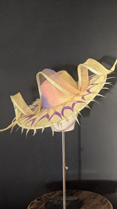 Lattice Gelati Ombre Sheer Brim