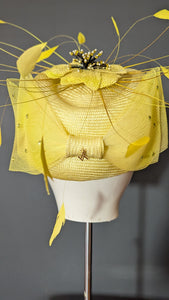 In Love with Lemon Vintage style pill box