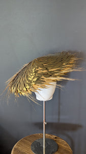 Golden Mirror Herl Coolie